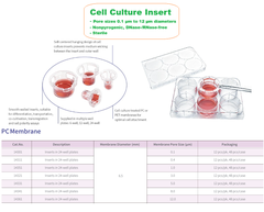 Insert cho đĩa nuôi cấy tế bào 24 giếng, chất liệu PC (Inserts in 24-well plates) Labselect