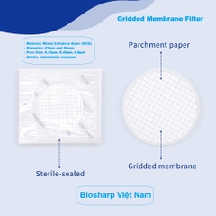 (Vô trùng) Màng lọc Vi Sinh (MCE), đk 47 và 50mm/0.8μm-0.22µm-0.45μm, 100 chiếc/hộp, Biosharp