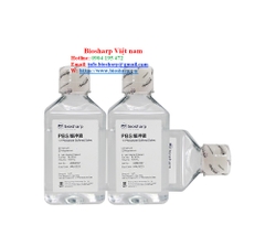 PBS (Phosphate Buffered Saline)