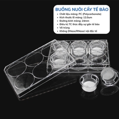 Buồng nuôi cấy tế bào 24mm, màng PC lỗ 5.0µm, 6 giếng (Cell culture chamber), LabSelect tekcovina