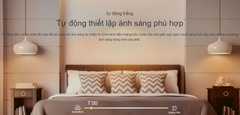 Bóng đèn Thông Minh Tapo L535E TP-Link, 16 Triệu Màu, Dùng Wifi Điều Khiển Từ Xa Bằng App