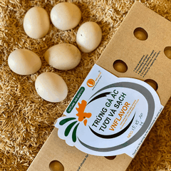 Trứng gà ác vỉ 10