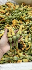 Nụ bí bao tử