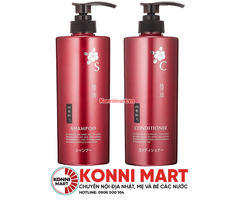 Bộ gội Kumano chiết xuất từ Hoa Trà 600ml