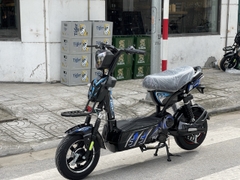 XE ĐẠP ĐIỆN 133 GRANT THƯỜNG