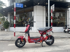 MẠNH PHÁT - XE ĐẠP ĐIỆN 133 GRANT X8