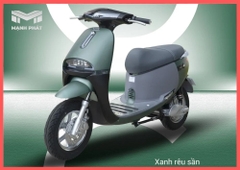 Xe máy điện 04