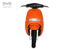 Xe Máy Điện Gogo S