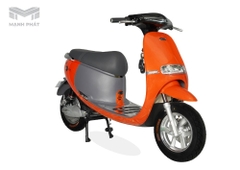 Xe Máy Điện Gogo S