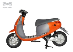 Xe Máy Điện Gogo S
