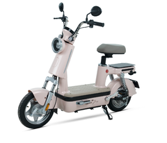 XE ĐẠP ĐIỆN BEJOY