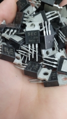 Transistor B834 và D880 tháo máy có màu xanh và đen
