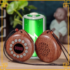 Máy Niệm Phật Nghe Pháp gắn thẻ Q8