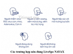 LiveSpo NAVAX - Bào Tử Lợi Khuẩn Dạng Xịt Giúp Giảm Nguy Cơ Viêm Đường Tai, Mũi, Họng - Bình xịt nhựa 30ml