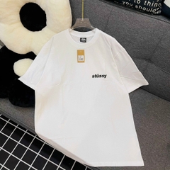 Áo thun Basic Stussy Popsicle Tee - Streetwears SG - STU-19