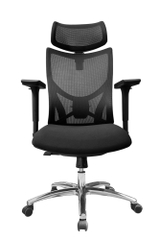 Ghế công thái học DP833