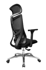 Ghế công thái học DP833