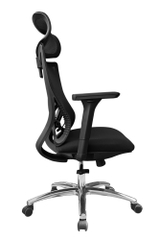 Ghế công thái học DP833