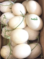 Dưa Lê BẠCH NGỌC hướng hữu cơ - DFarm - Gia Lâm