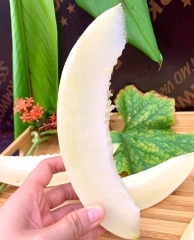 Dưa Lê BẠCH NGỌC hướng hữu cơ - DFarm - Gia Lâm