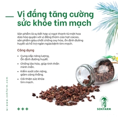 Hạt CACAO & Mật HOA DỪA CẠN tự nhiên - SOKFARM - Trà Vinh - 75gr