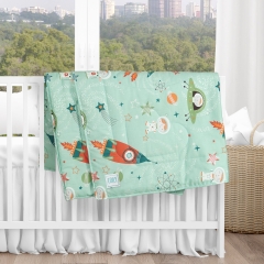 MỀN CHẦN BÔNG 80x100 cm VẢI COTTON HÀN QUỐC 100%, RUỘT LÔNG VŨ NHÂN TẠO EDILY | M80100HQ