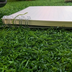 Sổ lò xo 02 đầu a5 bìa nhựa trong 145x205mm giấy kẻ ngang 120 trang 80gsm gu bìa trong