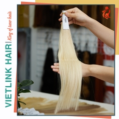 VIETNAMESE STRAIGHT BULK HAIR | #Pla COLOR