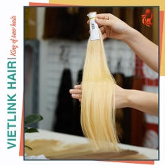 VIETNAMESE STRAIGHT BULK HAIR | #22 COLOR