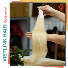 VIETNAMESE STRAIGHT BULK HAIR | #10.1 COLOR