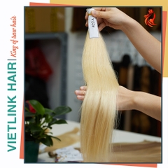 VIETNAMESE STRAIGHT BULK HAIR | #22A COLOR