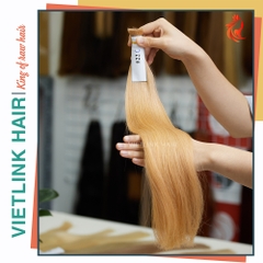 VIETNAMESE STRAIGHT BULK HAIR | #22C COLOR