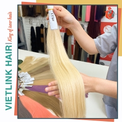 VIETNAMESE STRAIGHT BULK HAIR | #9.13 COLOR