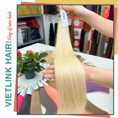 VIETNAMESE STRAIGHT BULK HAIR | #10.1 COLOR