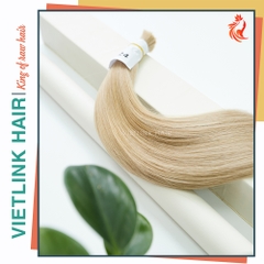 VIETNAMESE STRAIGHT BULK HAIR | #60A COLOR