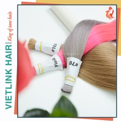 VIETNAMESE STRAIGHT BULK HAIR | #18A #70 #PINK COLOR