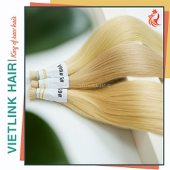 VIETNAMESE STRAIGHT BULK HAIR | #613 #9.0 #60A COLOR