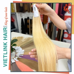 VIETNAMESE STRAIGHT BULK HAIR | #22 COLOR