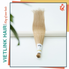 VIETNAMESE STRAIGHT BULK HAIR | #60A COLOR