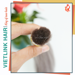 VIETNAMESE STRAIGHT BULK HAIR | #70 COLOR