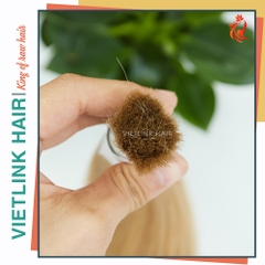 VIETNAMESE STRAIGHT BULK HAIR | #60A COLOR