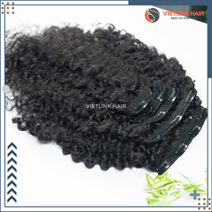 BURMESE CURLY CLIP_INS - NATURAL COLOR