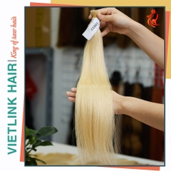 VIETNAMESE STRAIGHT BULK HAIR | #1001 COLOR