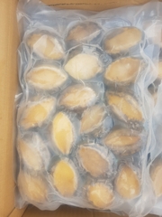 Bào Ngư size 18-20