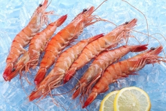 FROZEN COOK BLACK TIGER PRAWN
