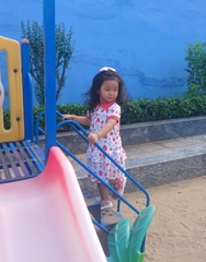 ĐẦM POLO BG HV DÂU FULL