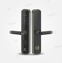 Khóa cửa KASSLER KL- 696 APP GREEN BRONZE thông minh - Hàng chính hãng KASSLER