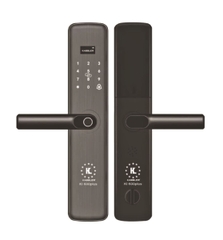 Khóa cửa KASSLER KL-600PG thông minh - Hàng chính hãng