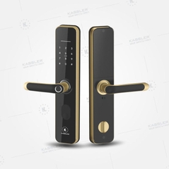 Khóa cửa KASSLER KL- 696 APP GOLD thông minh - Hàng chính hãng KASSLER