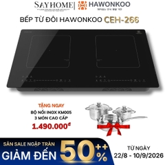 Bếp từ đôi HAWONKOO CEH-266 tại thành phố Hồ Chí Minh
